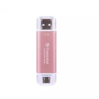 TRANSCEND TS1TESD310P 1TB Type-C Portable SSD