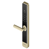 LifeSmart C100 Smart Door Lock in Bangladesh